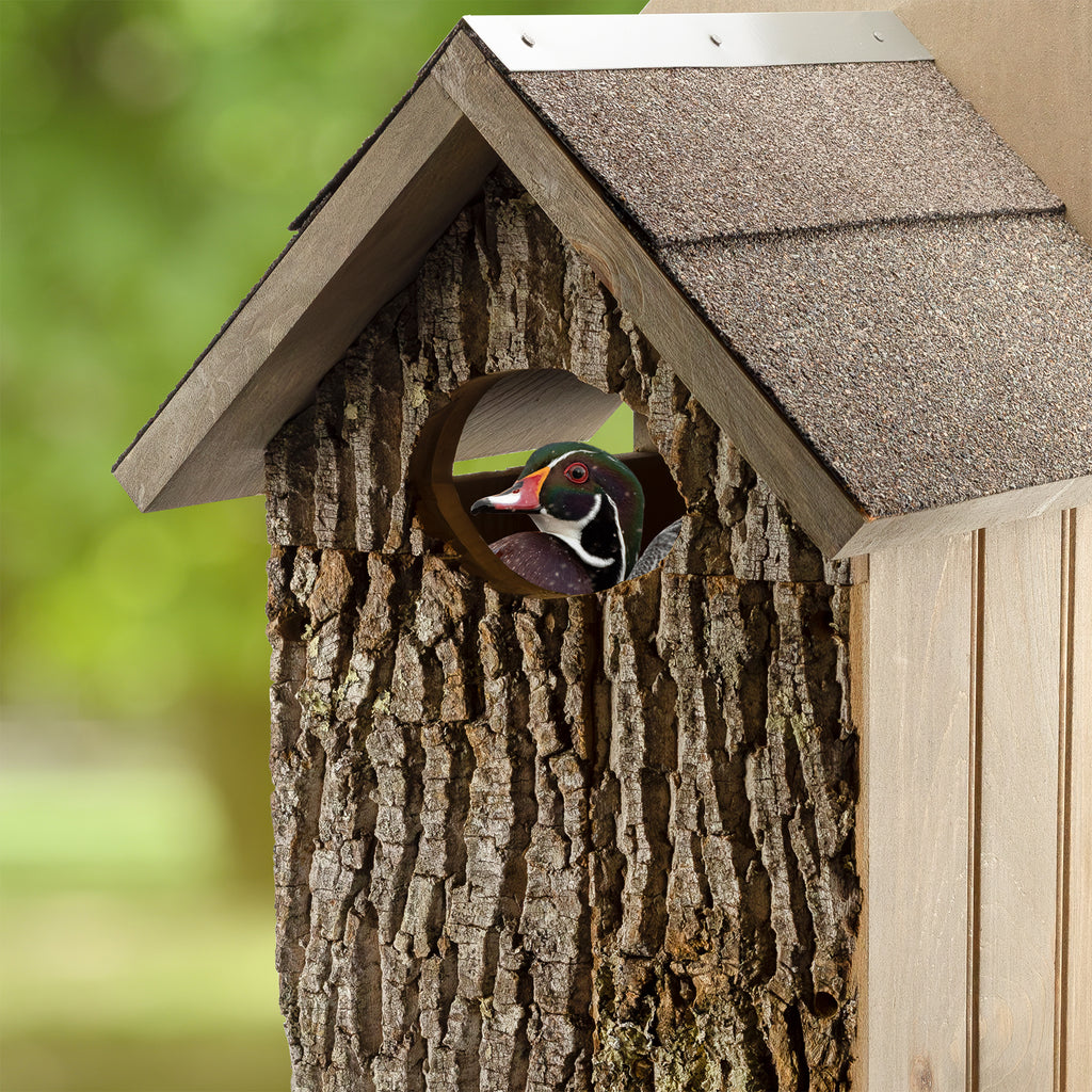 Premium Pine Wood Duck House - UDKIT001