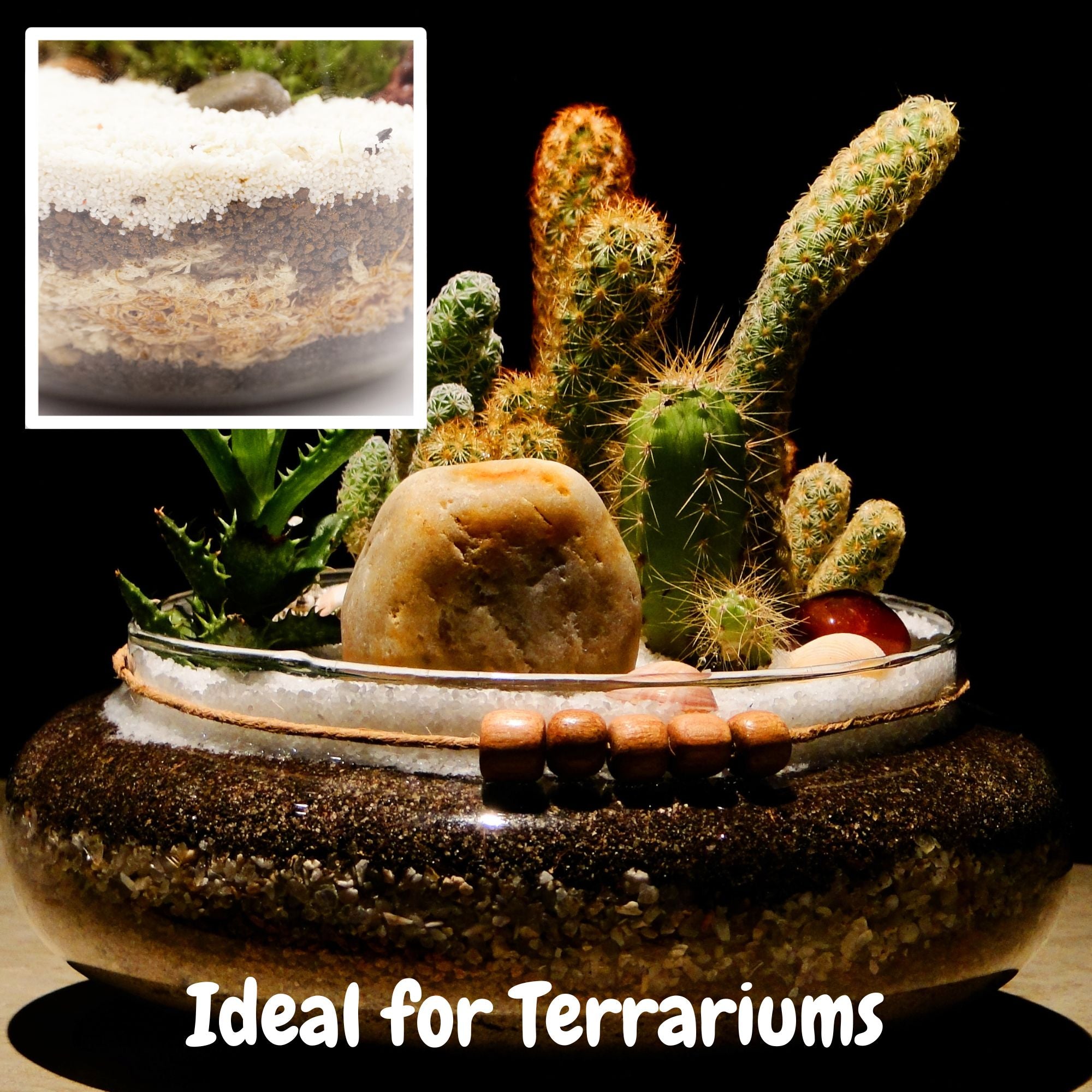 sphagnum moss potting mix Sphagnum Moss Potting Mix (1 Quart); for Carnivorous Plants: Blend of Dried Moss with Perlite – Kurated Korner
