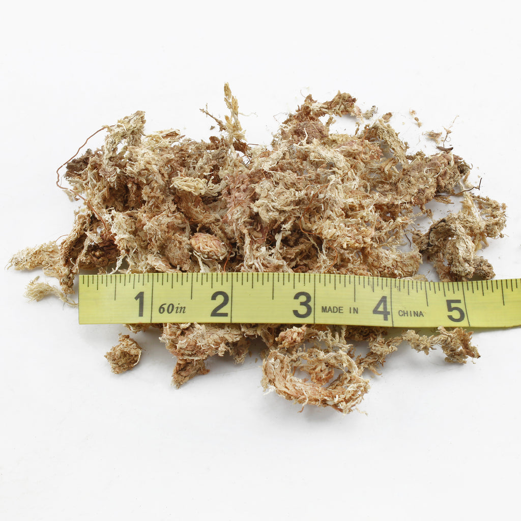 Long Fibered Sphagnum Peat Moss - SSVarMoss