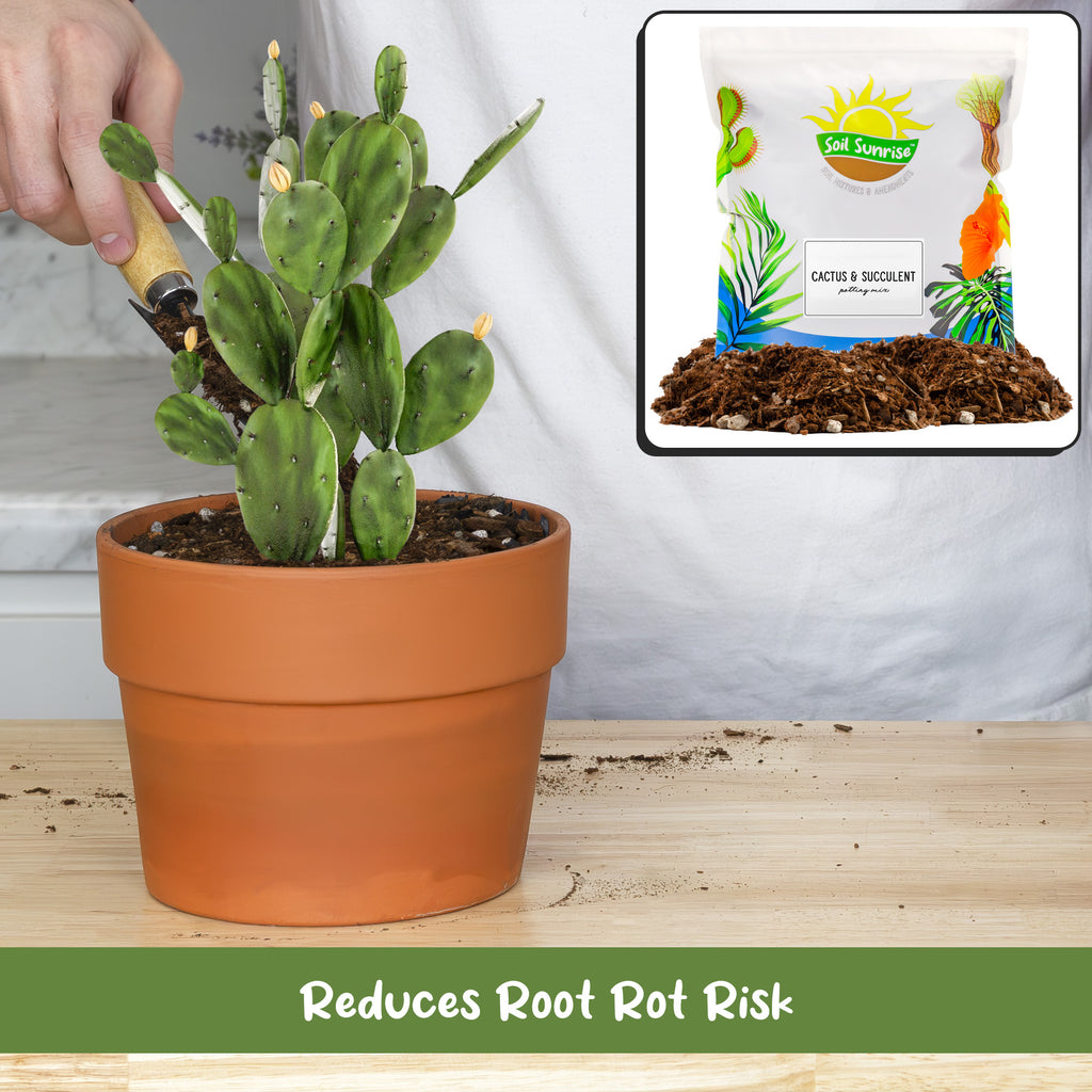 Cactus and Succulent Potting Mix - SSVarCactSuc