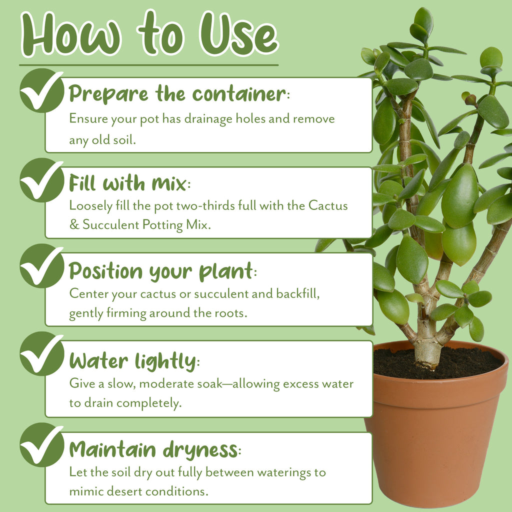 Cactus and Succulent Potting Mix - SSVarCactSuc