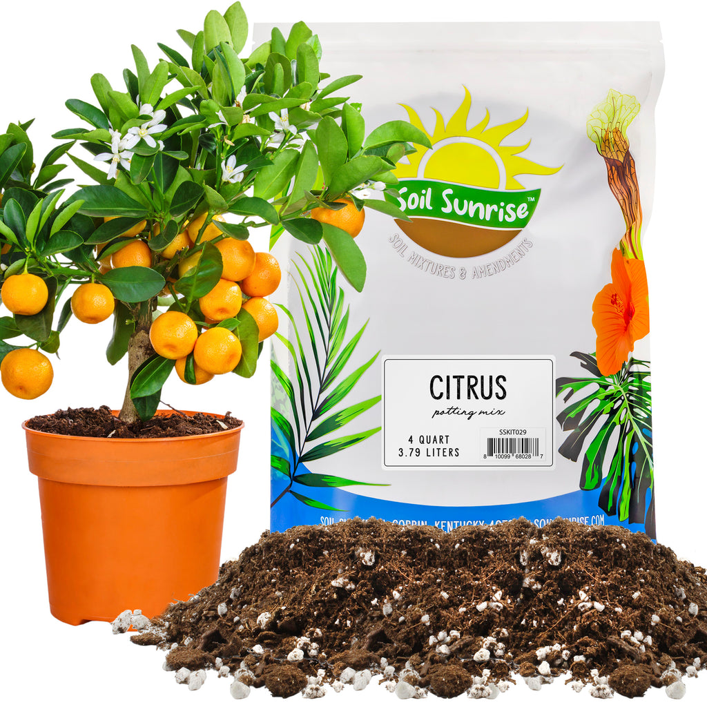 Citrus Tree Potting Soil Mix (4 Quarts) - SSKIT029