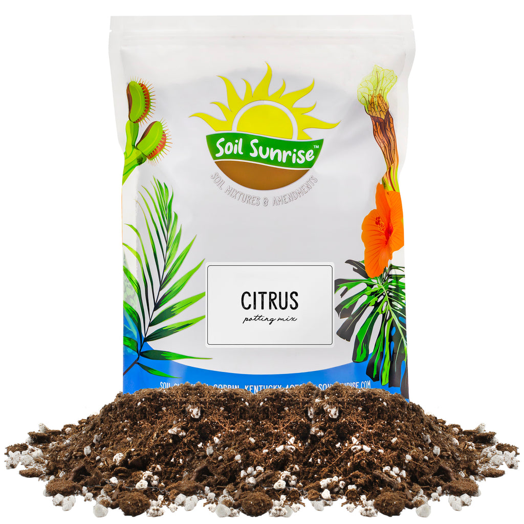 Citrus Tree Potting Soil Mix - SSVarCitrus