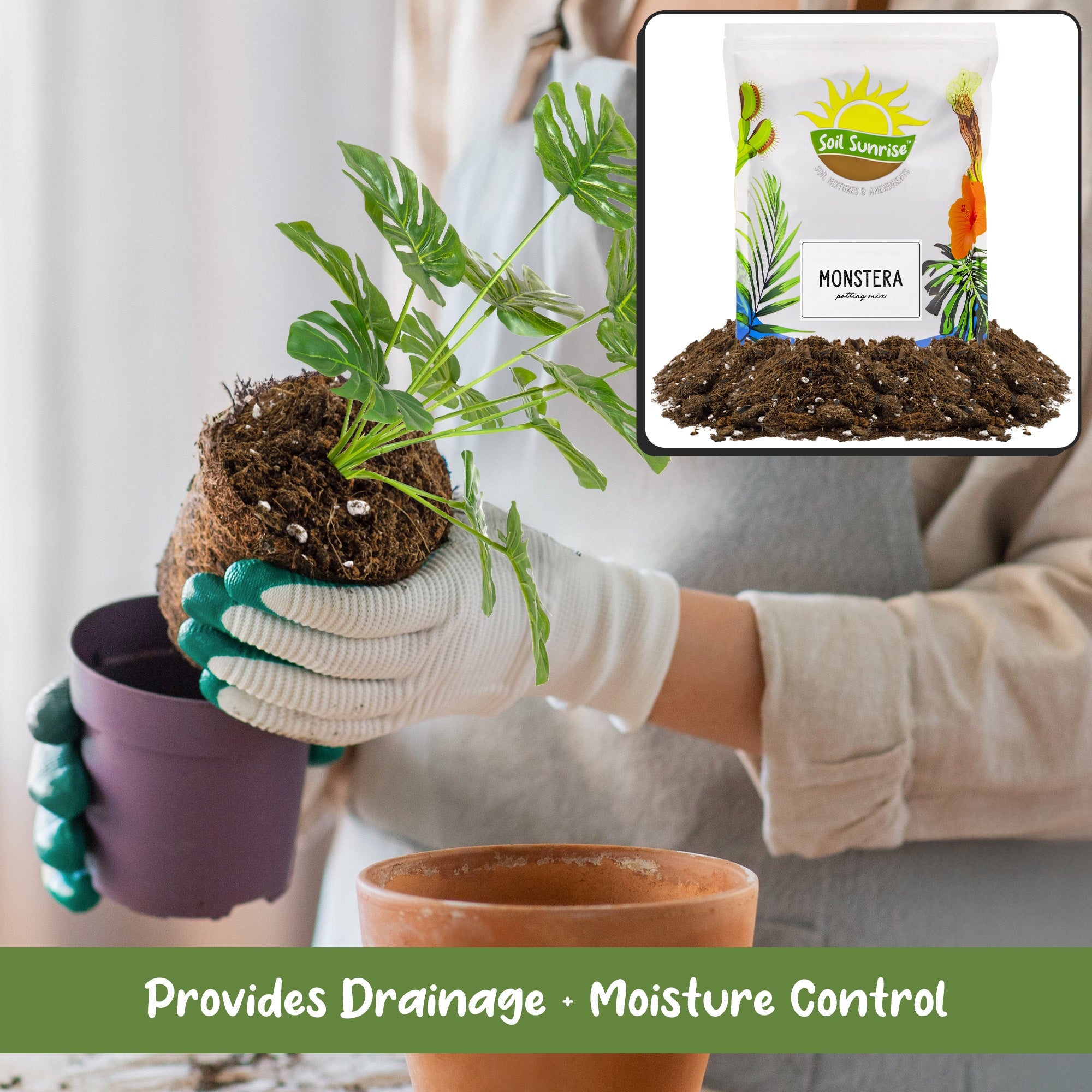 potting mix for monstera deliciosa Monstera Houseplant Potting Soil Mix, Custom Blend for Growing and Repotting – Kurated Korner