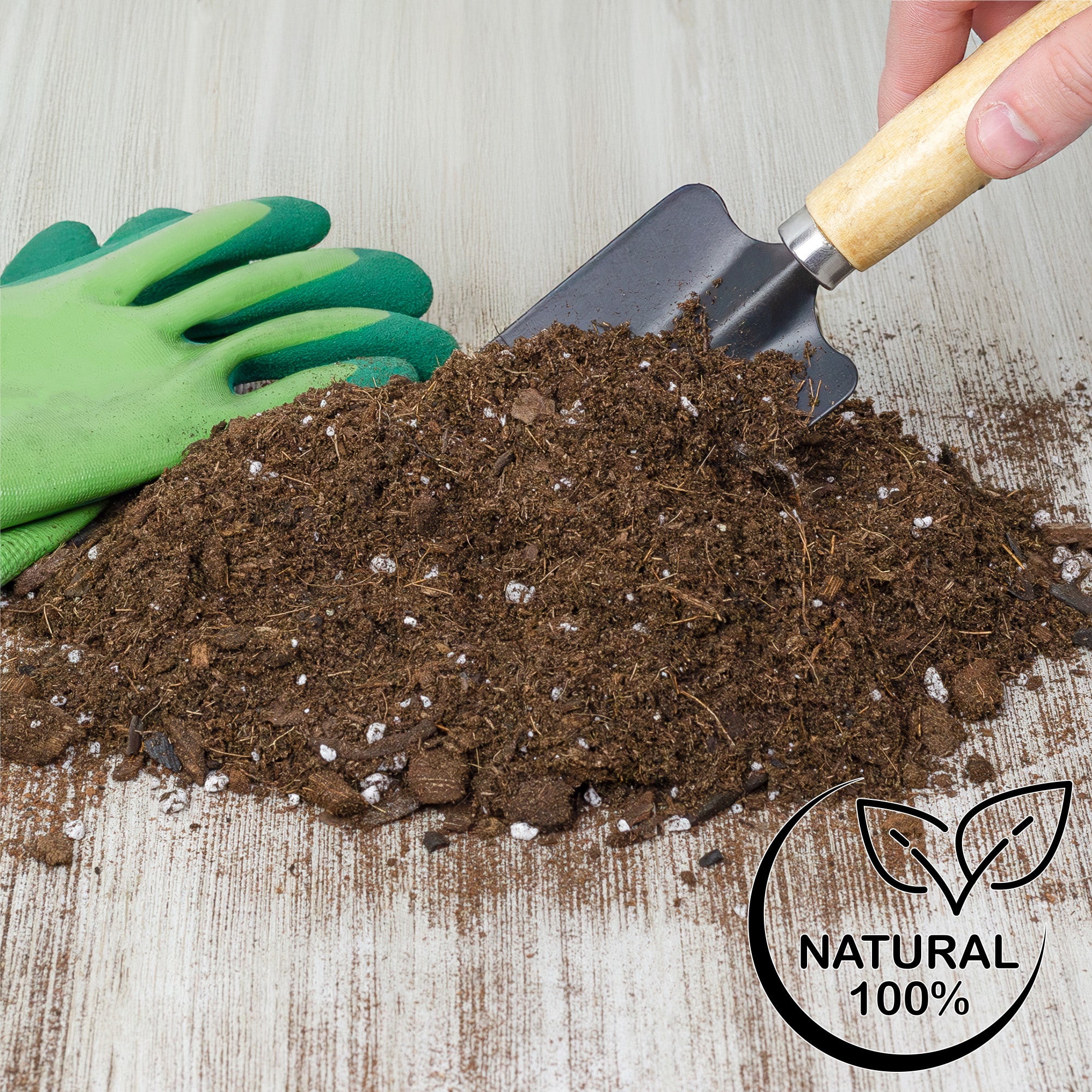 monstera soil mixture Monstera Houseplant Potting Soil Mix, Custom Blend for Growing and Repotting – Kurated Korner