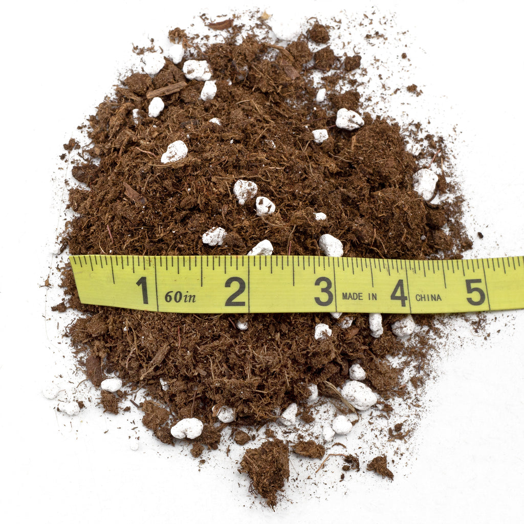 Pitcher Plant Potting Soil Mix, Choose Size - SSVarPitchr