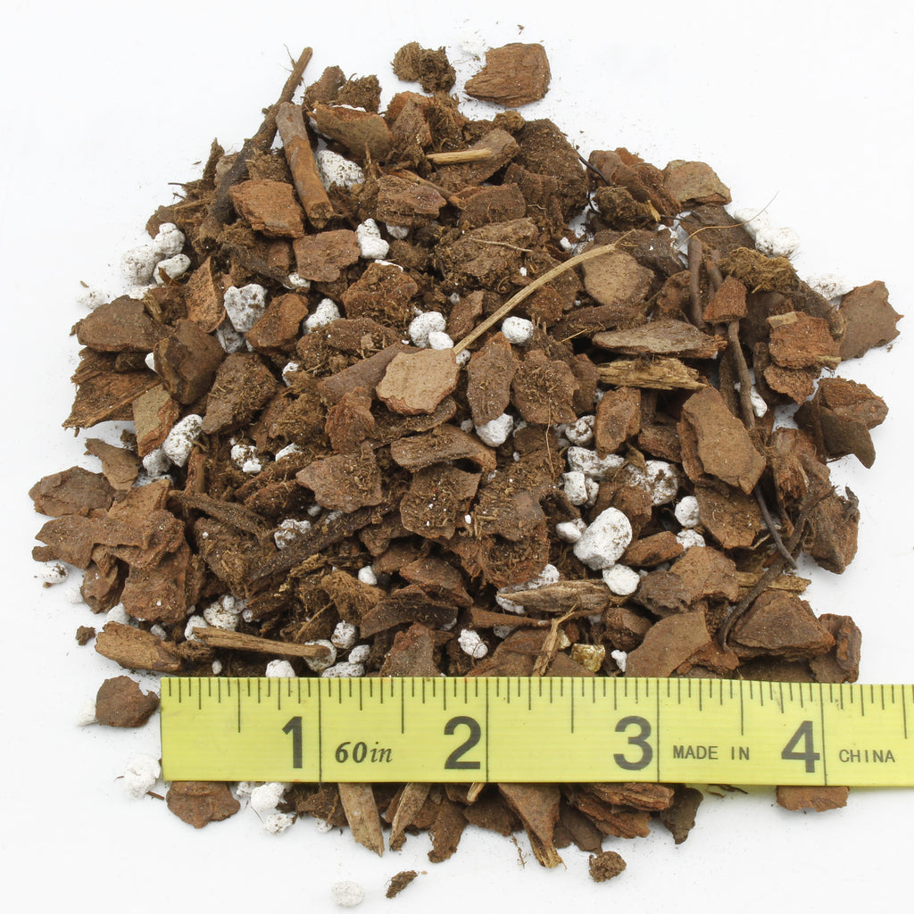 Staghorn Fern Potting Soil Mix (2 Quarts) - SSKIT185