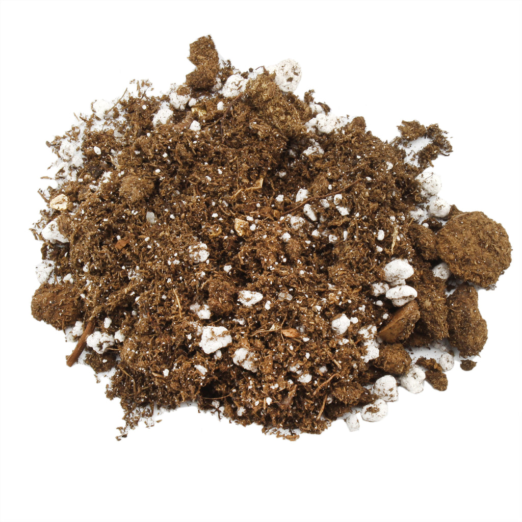 Kalanchoe Plant Potting Soil Mix (8 Quarts) - SSKIT194