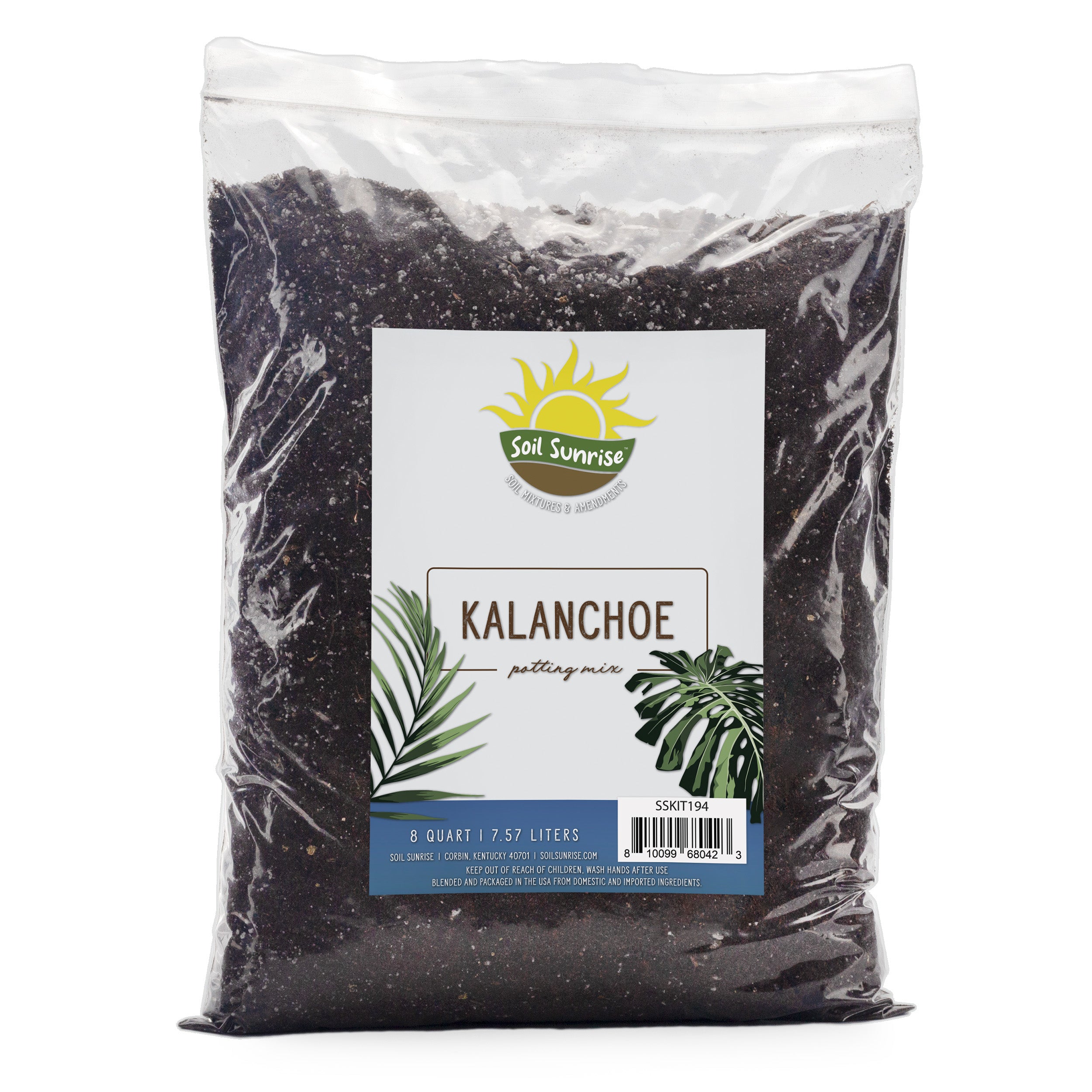 kalanchoe potting mix Kalanchoe Plant Potting Soil Mix