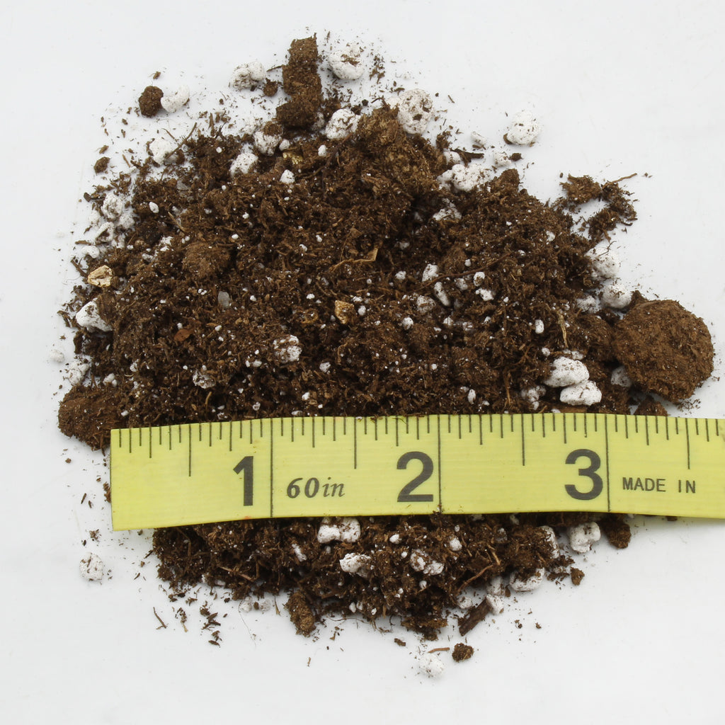 Kalanchoe Plant Potting Soil Mix (8 Quarts) - SSKIT194