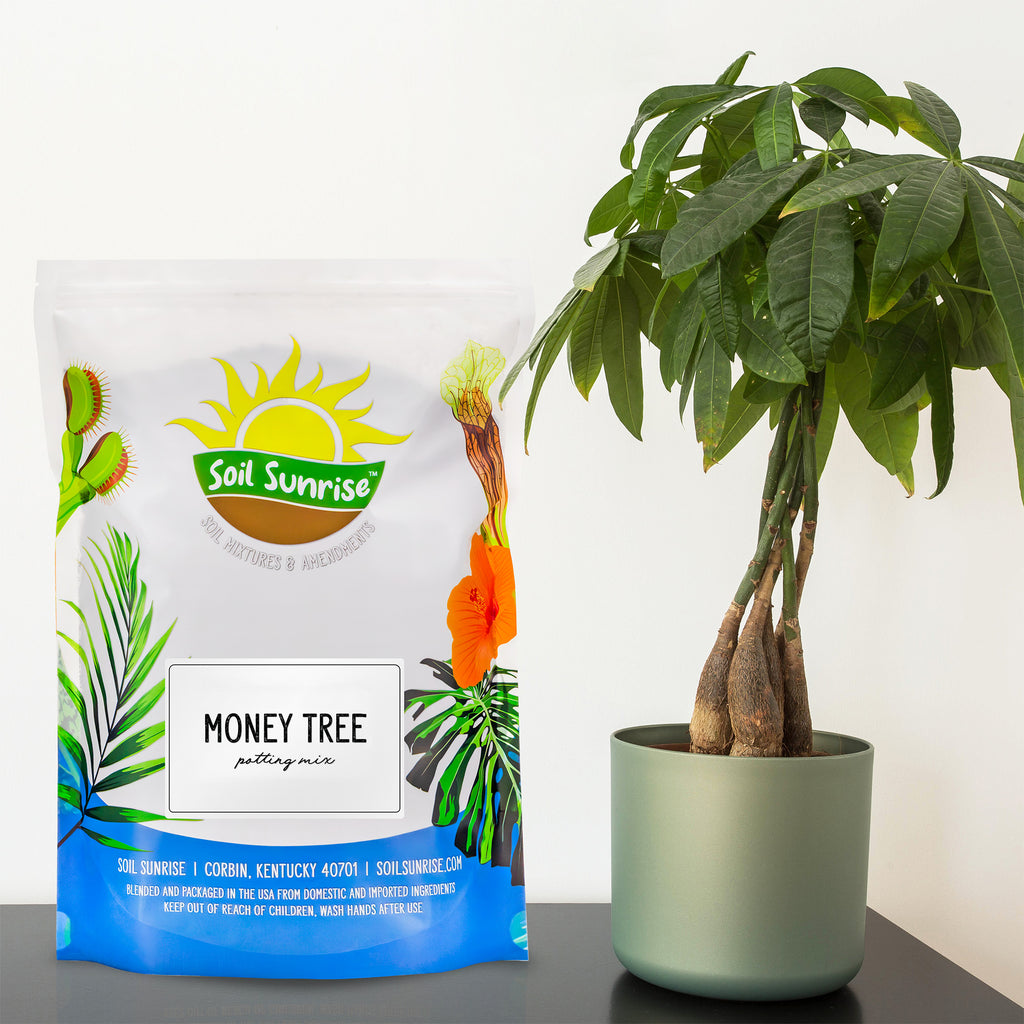 Money Tree Potting Soil Mix, Choose Size - SSVarMoneyTr