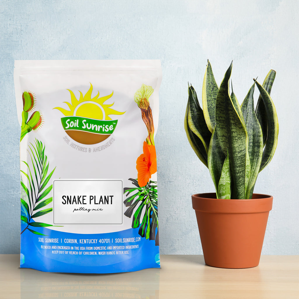 Snake Plant Potting Soil Mix, Choose Size - SSVarSnake