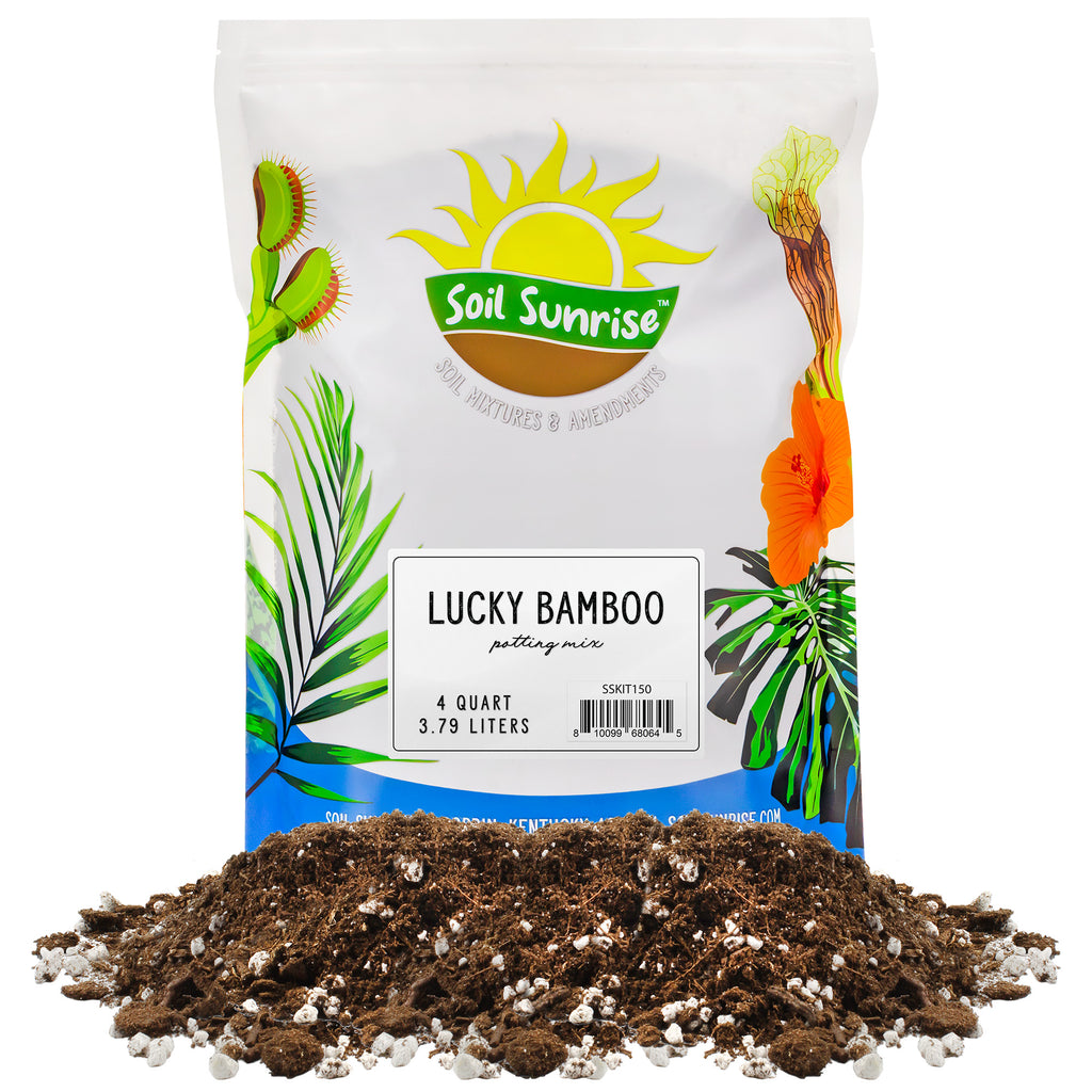Lucky Bamboo Potting Soil Mix (4 Quarts) - SSKIT150