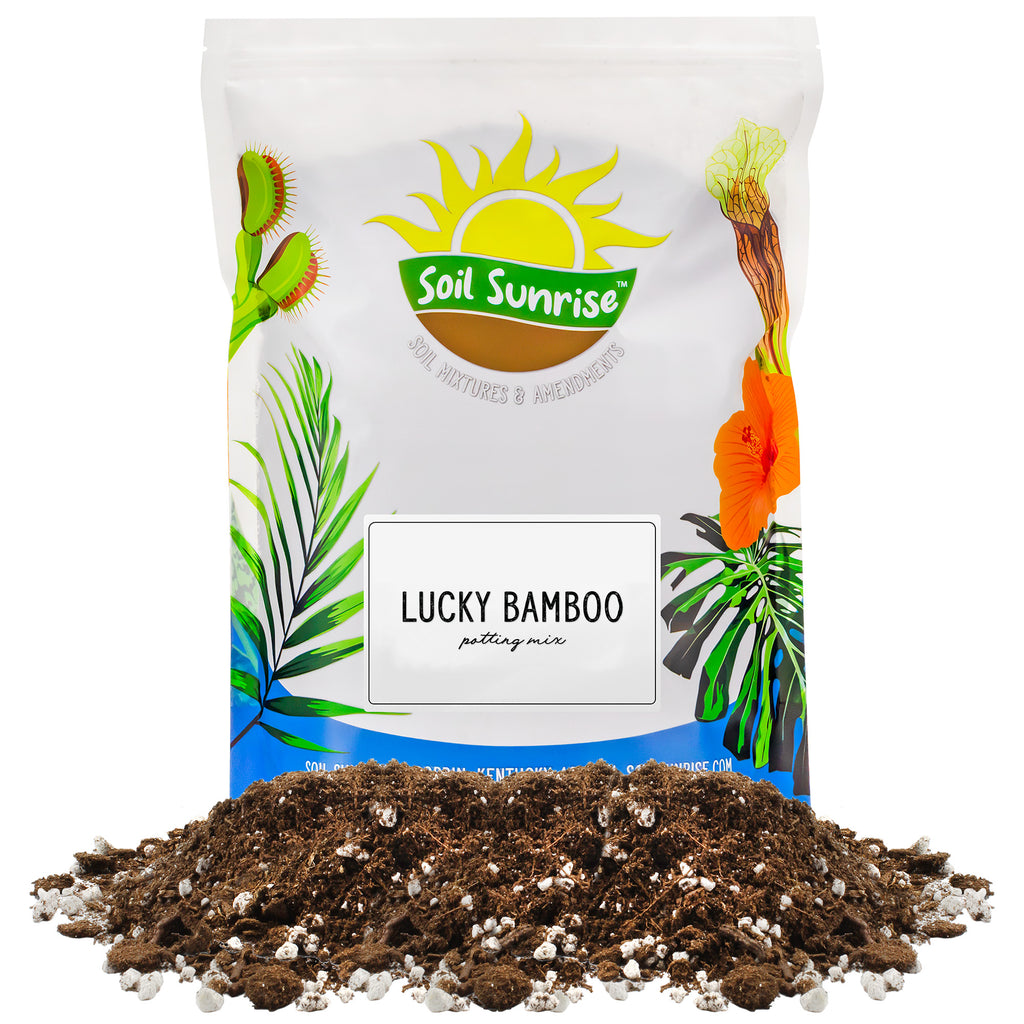Lucky Bamboo Potting Soil Mix (Choose Size) - SSVarLBamboo