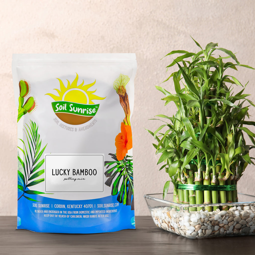 Lucky Bamboo Potting Soil Mix (Choose Size) - SSVarLBamboo