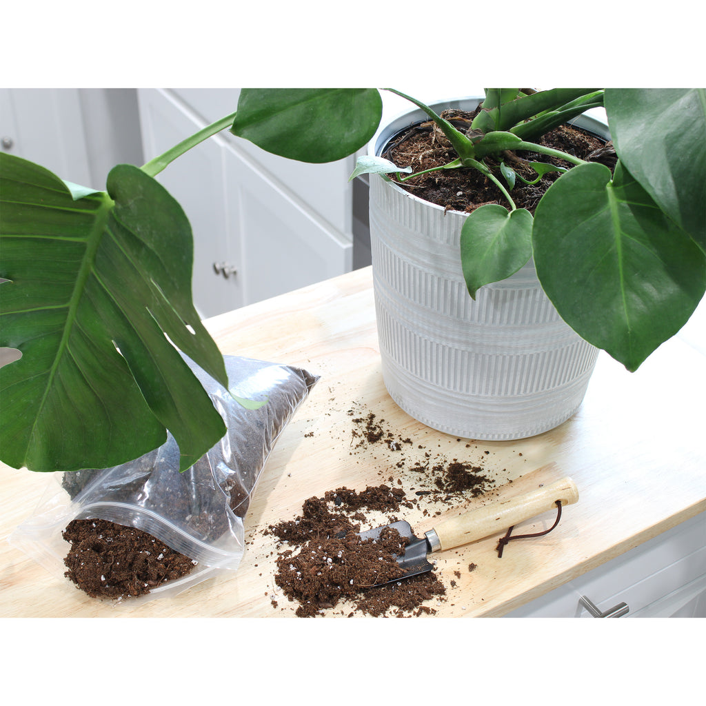 Monstera Houseplant Potting Soil Mix, Choose Size - SSVarMonster