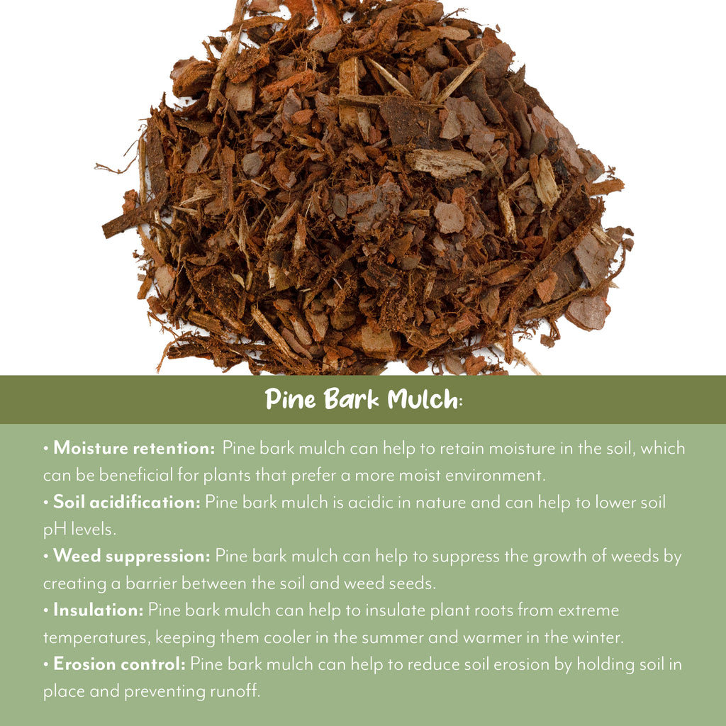 100% Natural Pine Bark Mulch Nuggets (Choose Size) - SSVarMulch