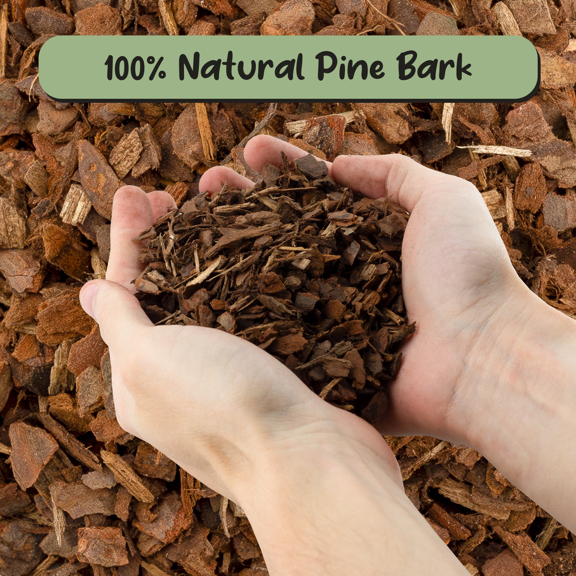 pine bark for potting mix 100% Organic Orchid Potting Bark