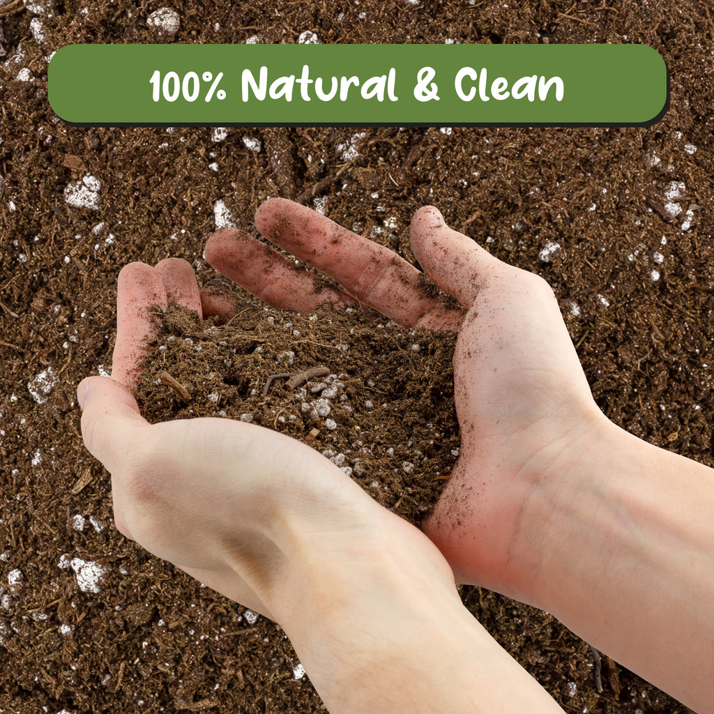 Avocado Tree Potting Soil Mix - SSVarAvocado