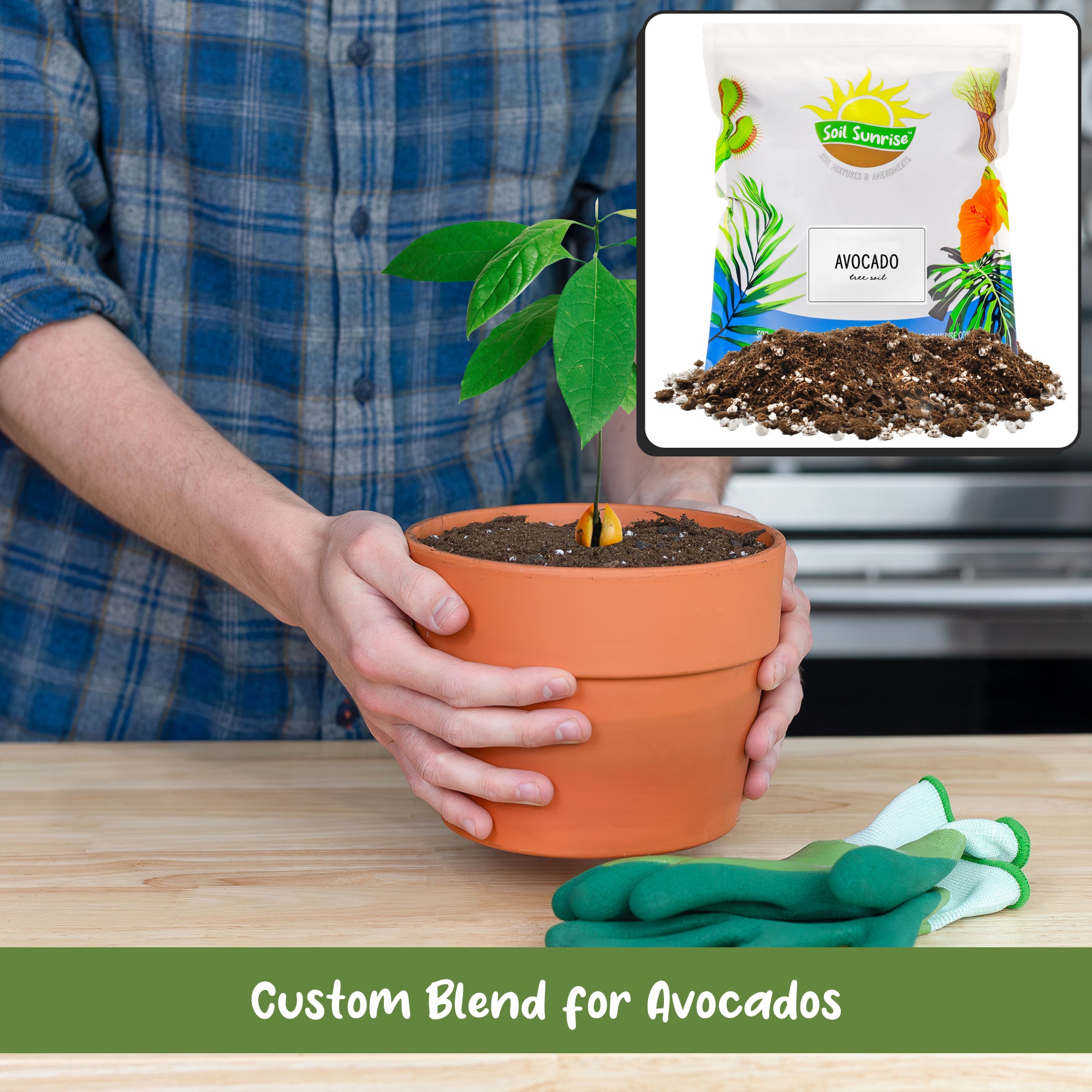 best soil for avocado plant in pot Avocado Tree Potting Soil Mix