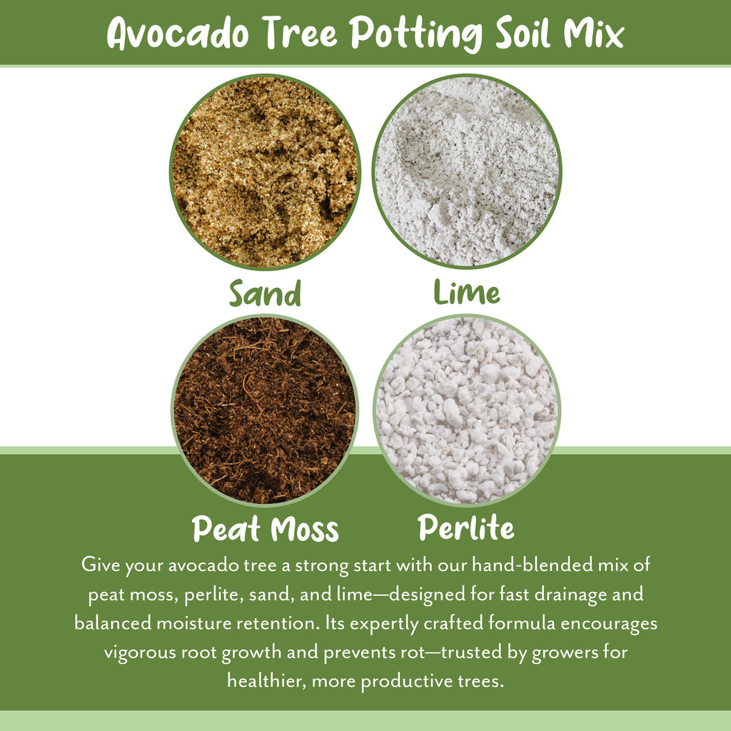 Avocado Tree Potting Soil Mix - SSVarAvocado