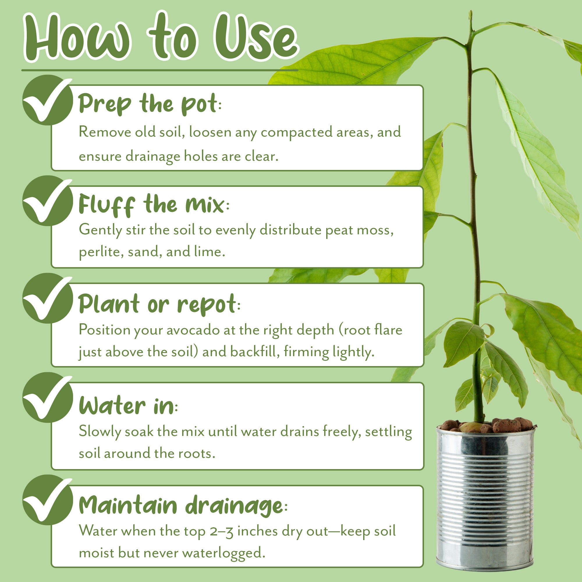 soil mix for potted avocado tree Avocado Tree Potting Soil Mix