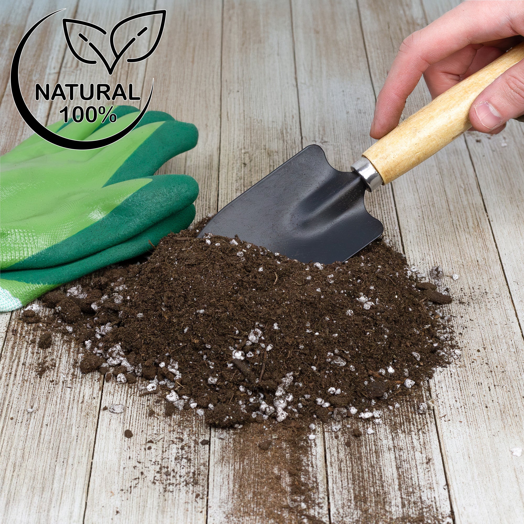 potting mix for avocado plant Avocado Tree Potting Soil Mix, for Germinating, Growing and Repotting Avocado Plants – Kurated Korner