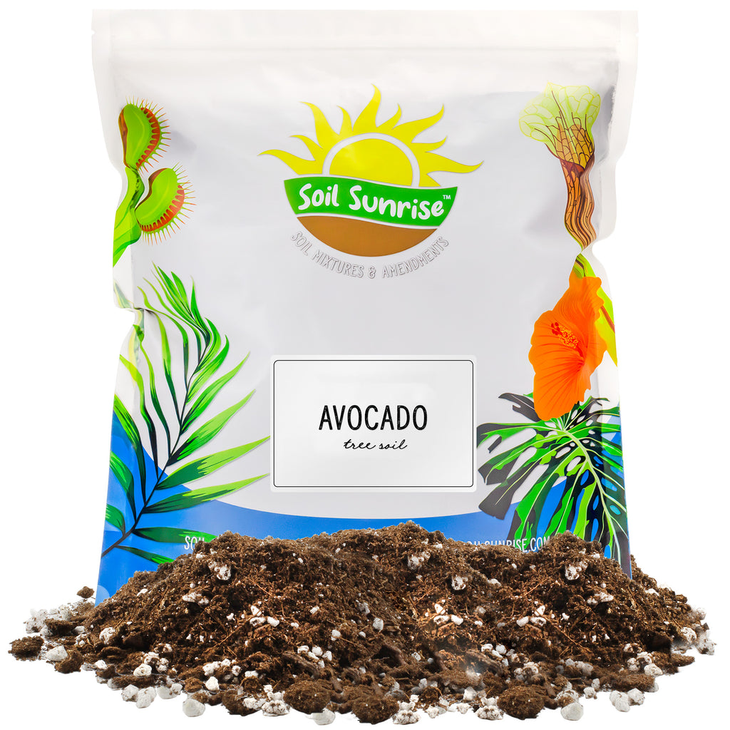 Avocado Tree Potting Soil Mix - SSVarAvocado