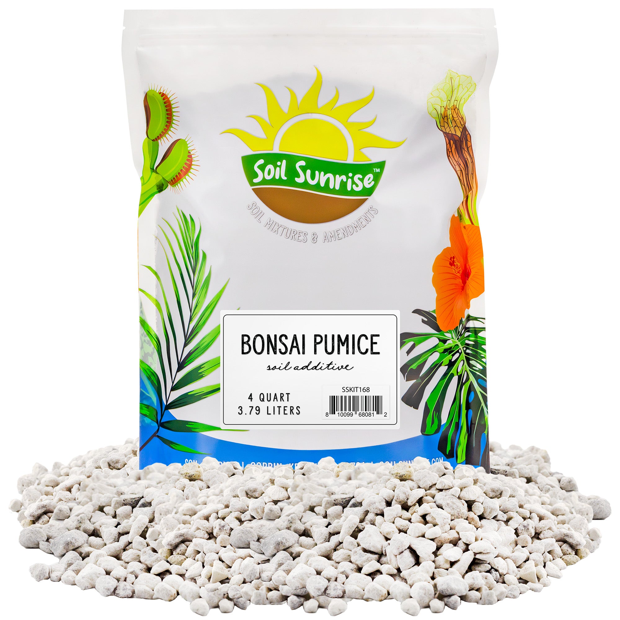 where to buy pumice for succulents Horticultural Bonsai Pumice Soil Additive, Ideal Substrate for Bonsai Trees, Cactus and Succulents – Kurated Korner