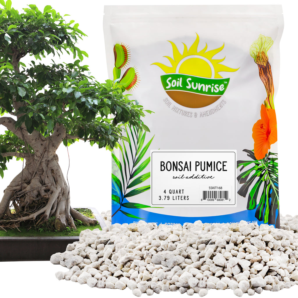 Horticultural Bonsai Pumice Soil Additive (4 Quarts) - SSKIT168