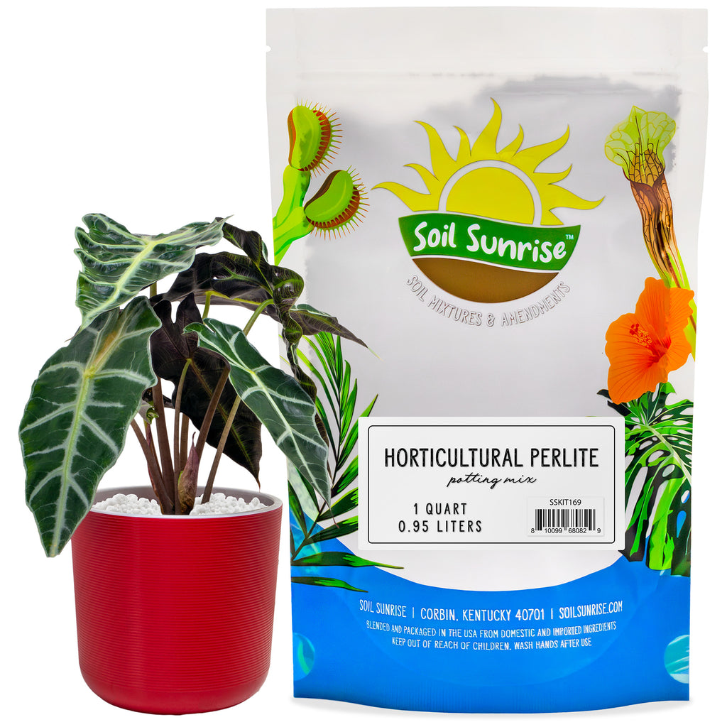 Horticultural Perlite Soil Additive (1 Quart) - SSKIT169
