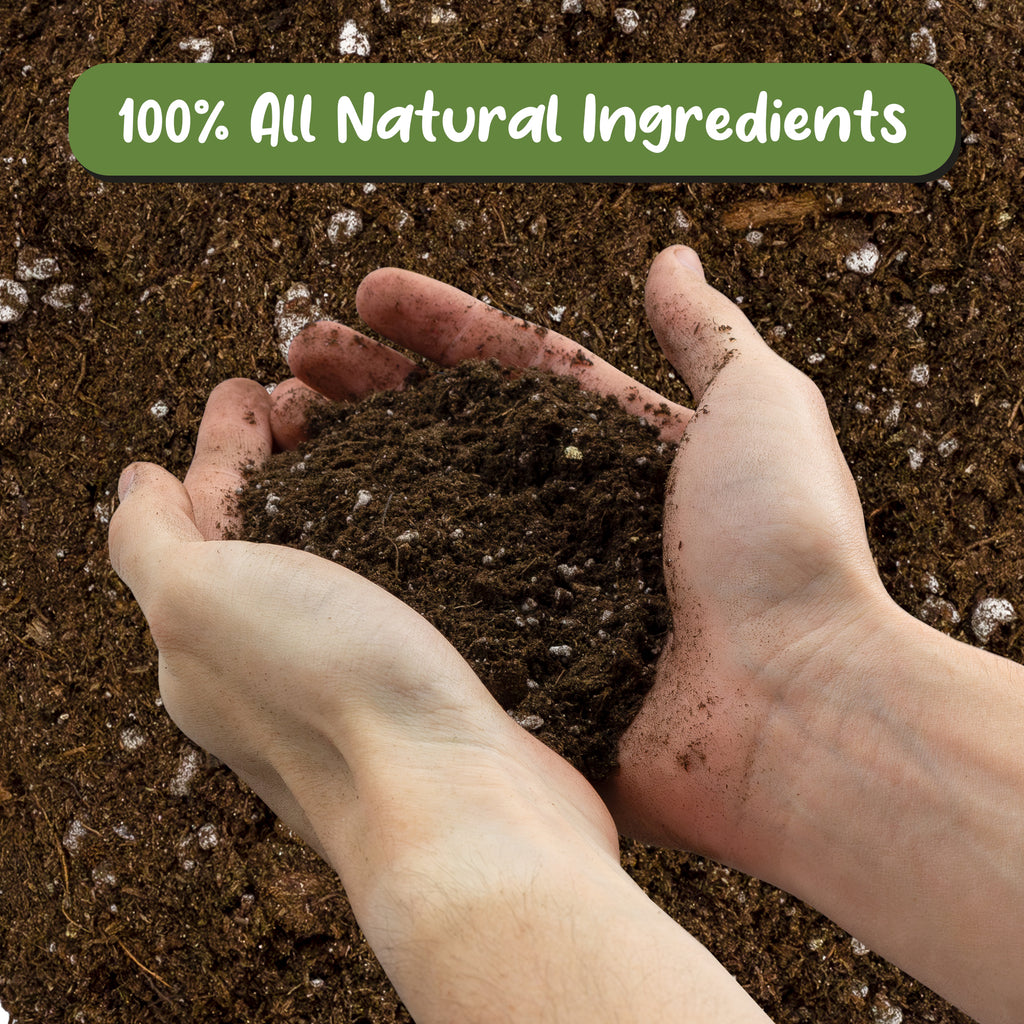 Tropical House Plant Potting Mix (Choose Size) - SSVarTropicPlnt
