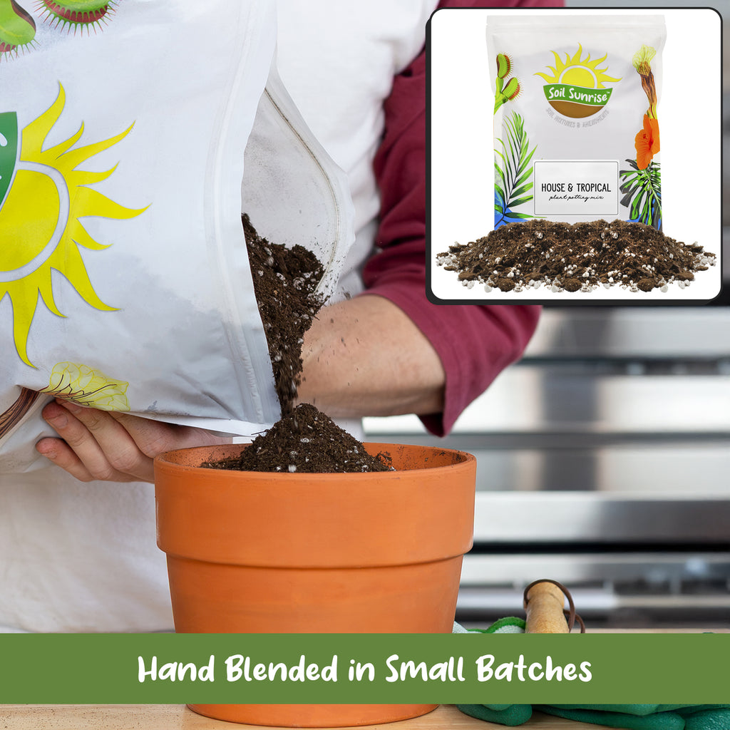 Tropical House Plant Potting Mix (Choose Size) - SSVarTropicPlnt
