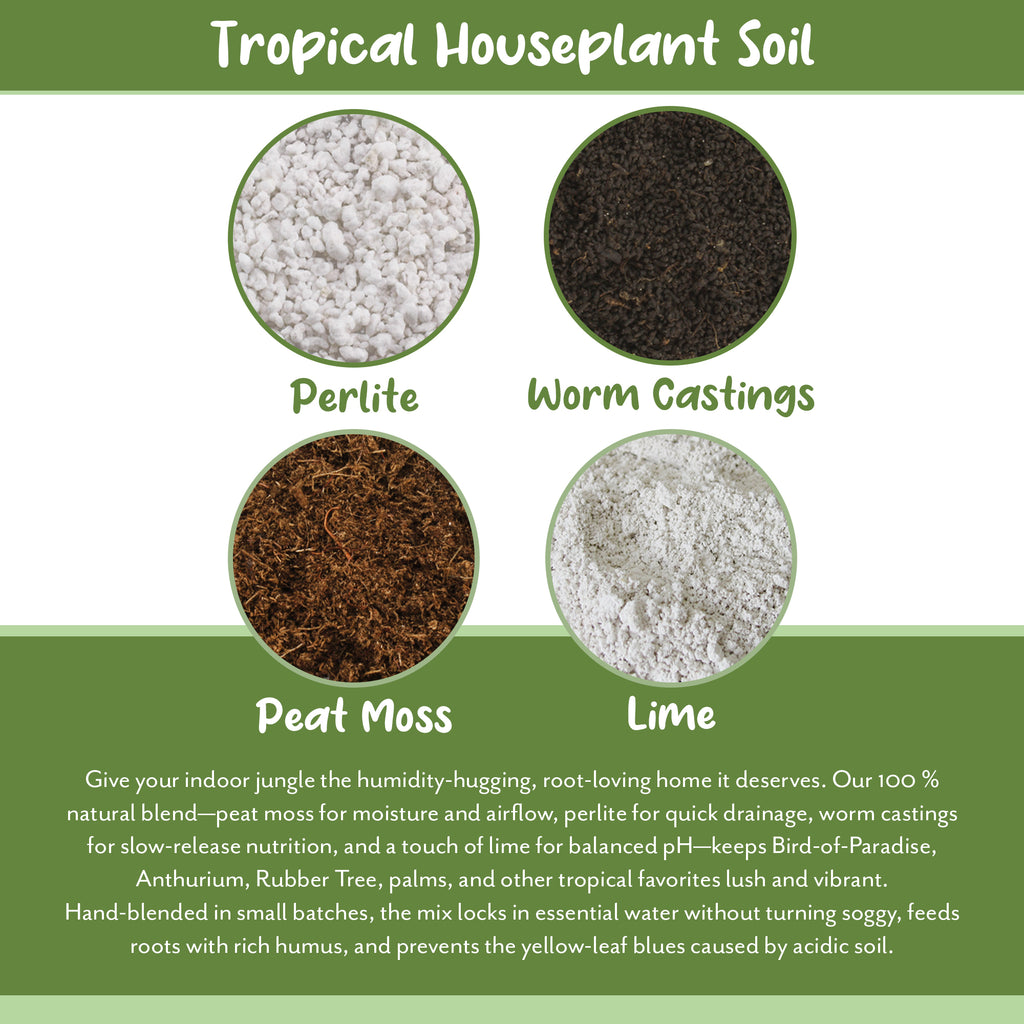 Tropical House Plant Potting Mix (Choose Size) - SSVarTropicPlnt
