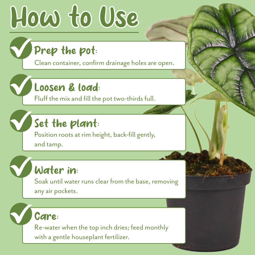 Tropical House Plant Potting Mix (Choose Size) - SSVarTropicPlnt