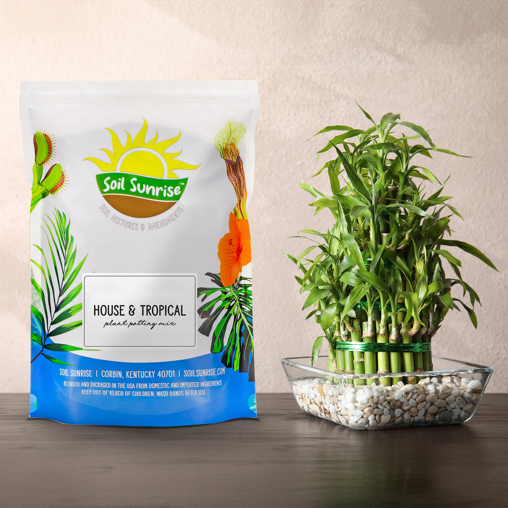 Tropical House Plant Potting Mix (Choose Size) - SSVarTropicPlnt