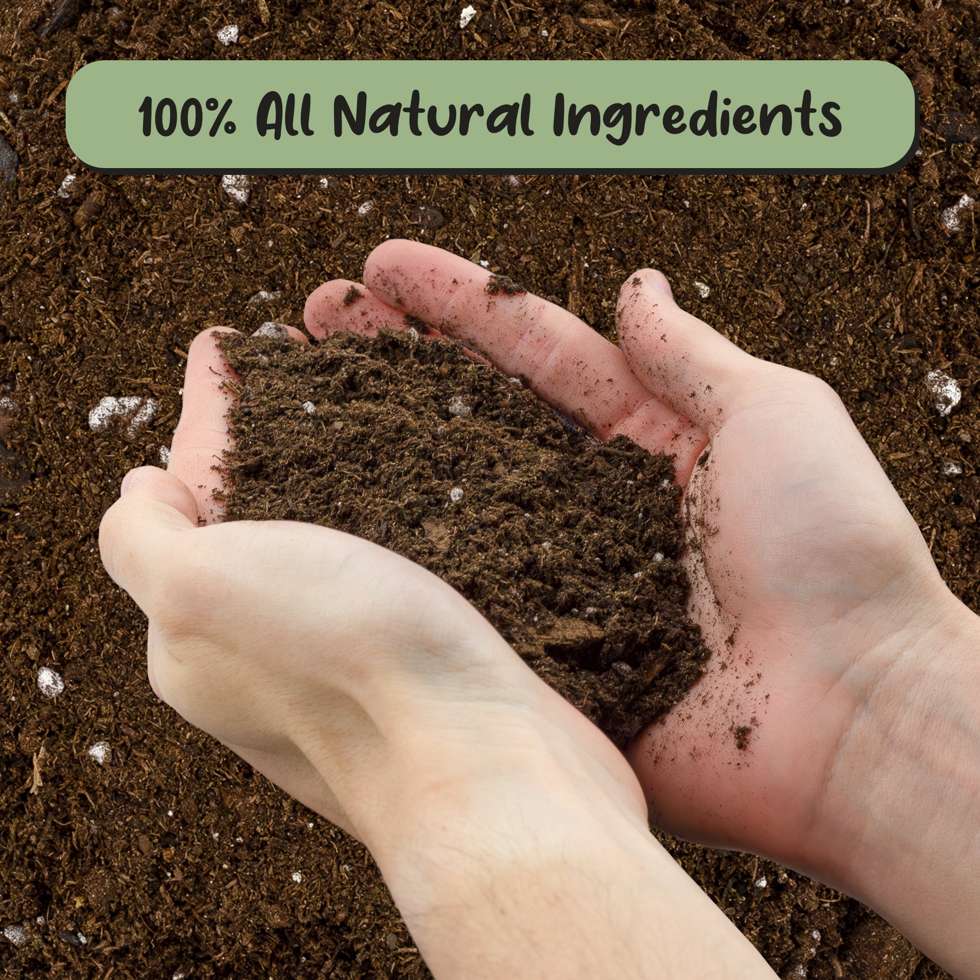hoya plant potting mix Hoya Plant Potting Soil Mix, Custom Blend for Growing Hoya Tropical Houseplants – Kurated Korner