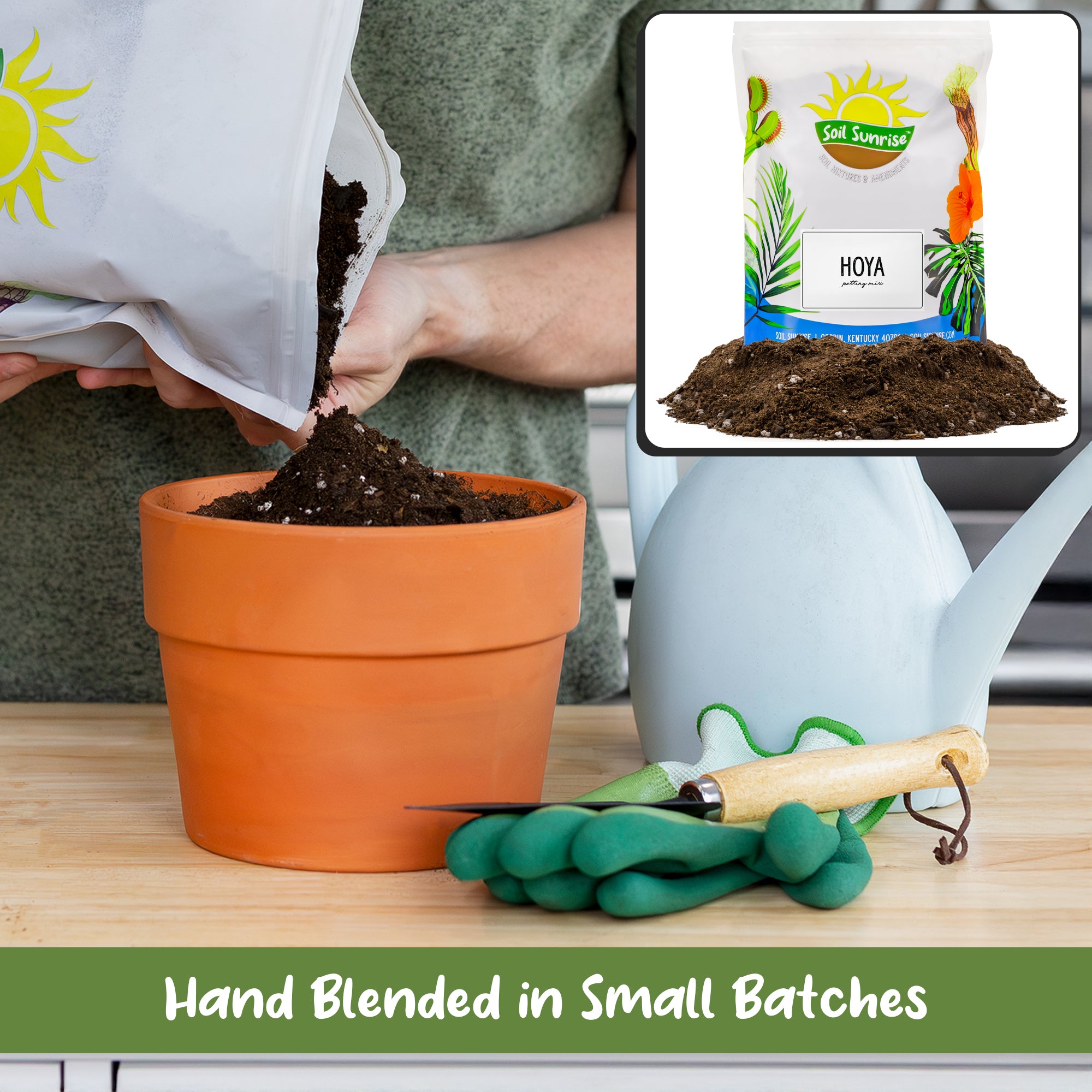 potting mix for hoya Hoya Plant Potting Soil Mix, Custom Blend for Growing Hoya Tropical Houseplants – Kurated Korner