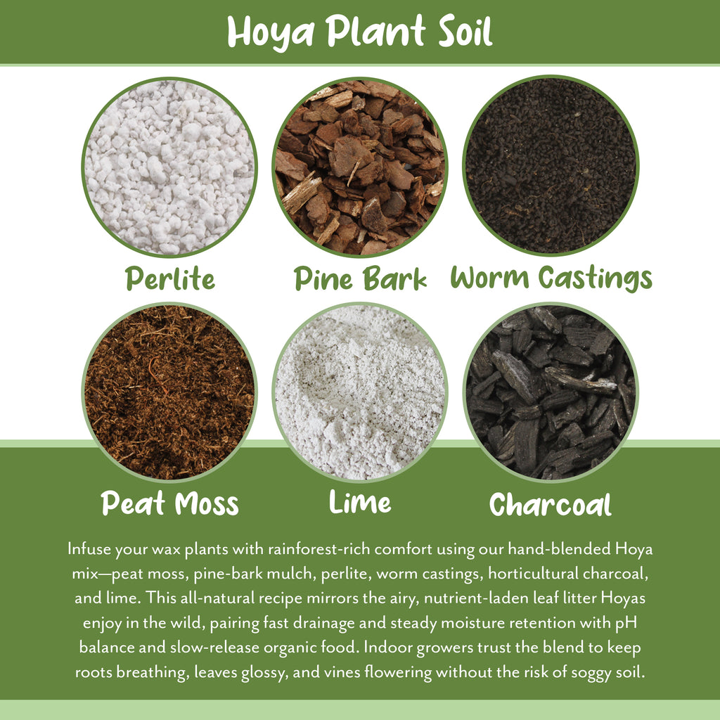 Hoya Plant Potting Soil Mix - SSVarHoya