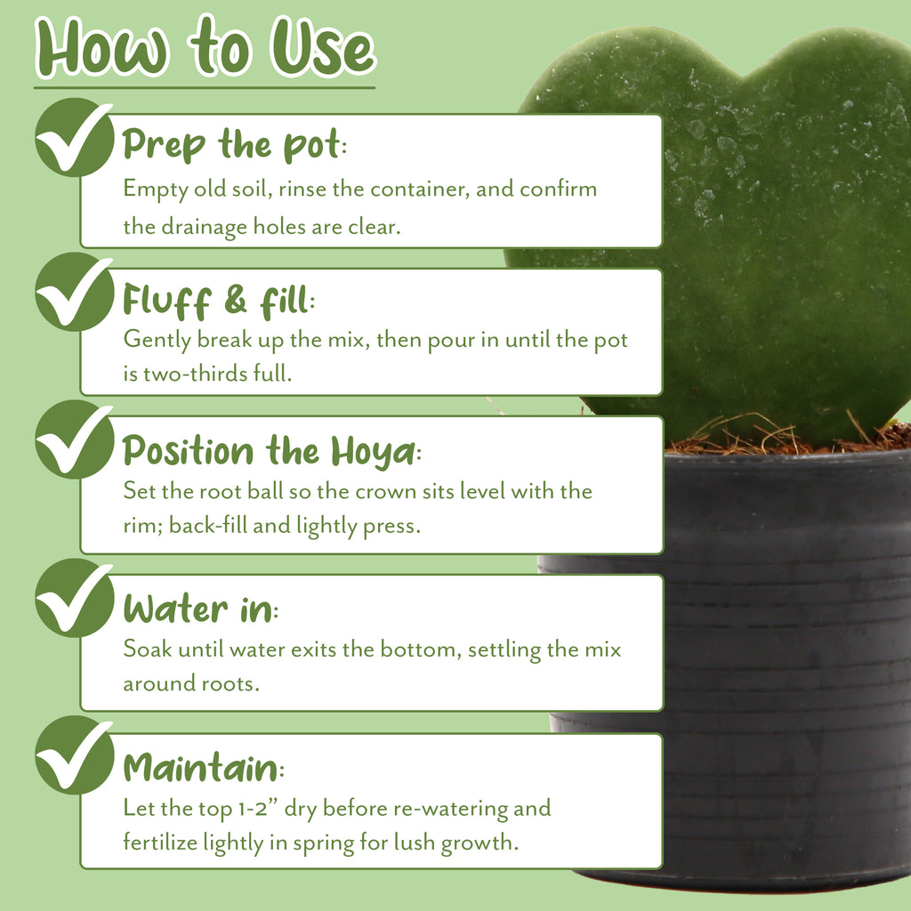 Hoya Plant Potting Soil Mix - SSVarHoya