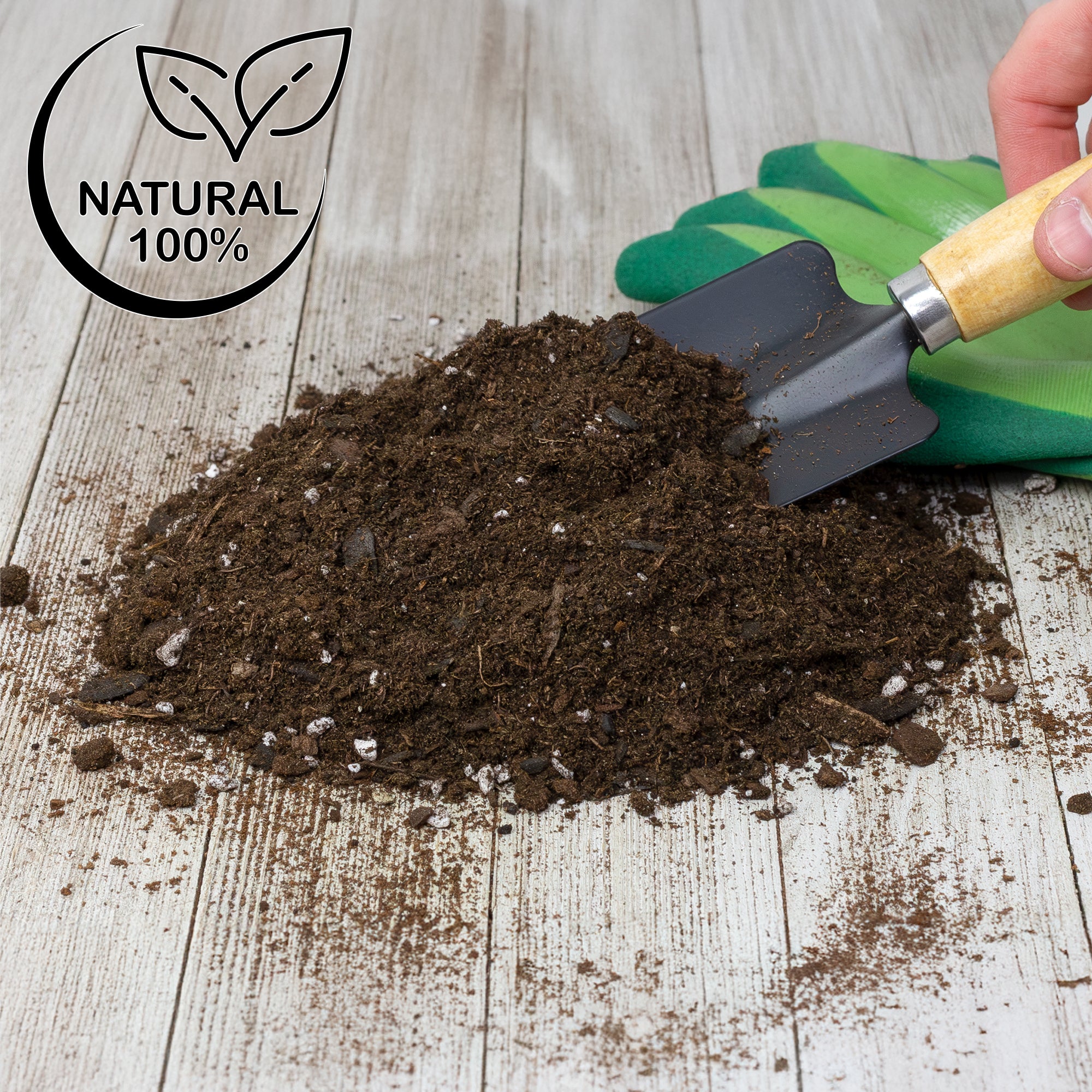 hoya plant potting mix Hoya Plant Potting Soil Mix, Custom Blend for Growing Hoya Tropical Houseplants – Kurated Korner