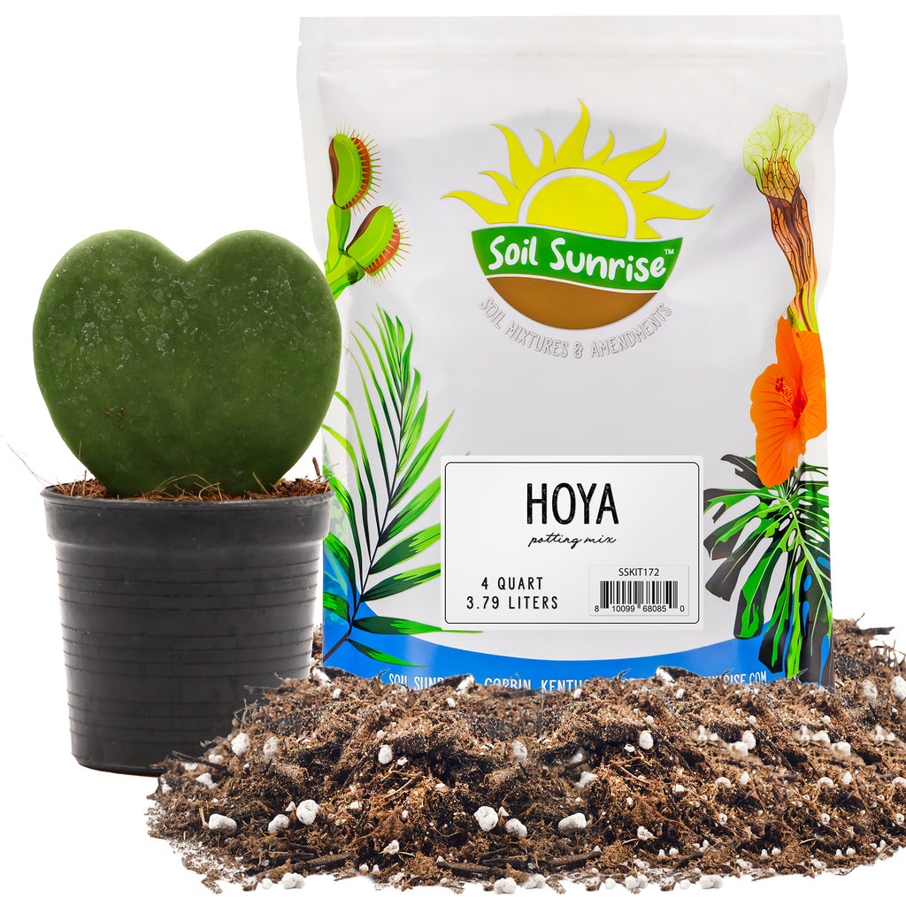 Hoya Plant Potting Soil Mix (4 Quarts) - SSKIT172