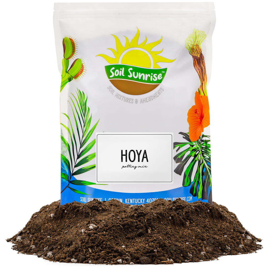 Hoya Plant Potting Soil Mix - SSVarHoya