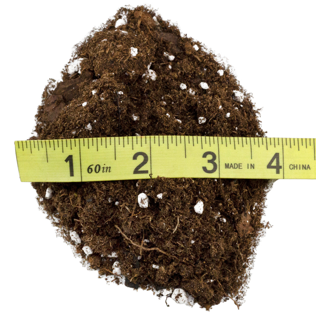 Hoya Plant Potting Soil Mix - SSVarHoya