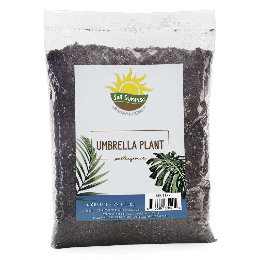 Umbrella Plant Potting Soil Mix, Chooze Size - SSVarUmbrella
