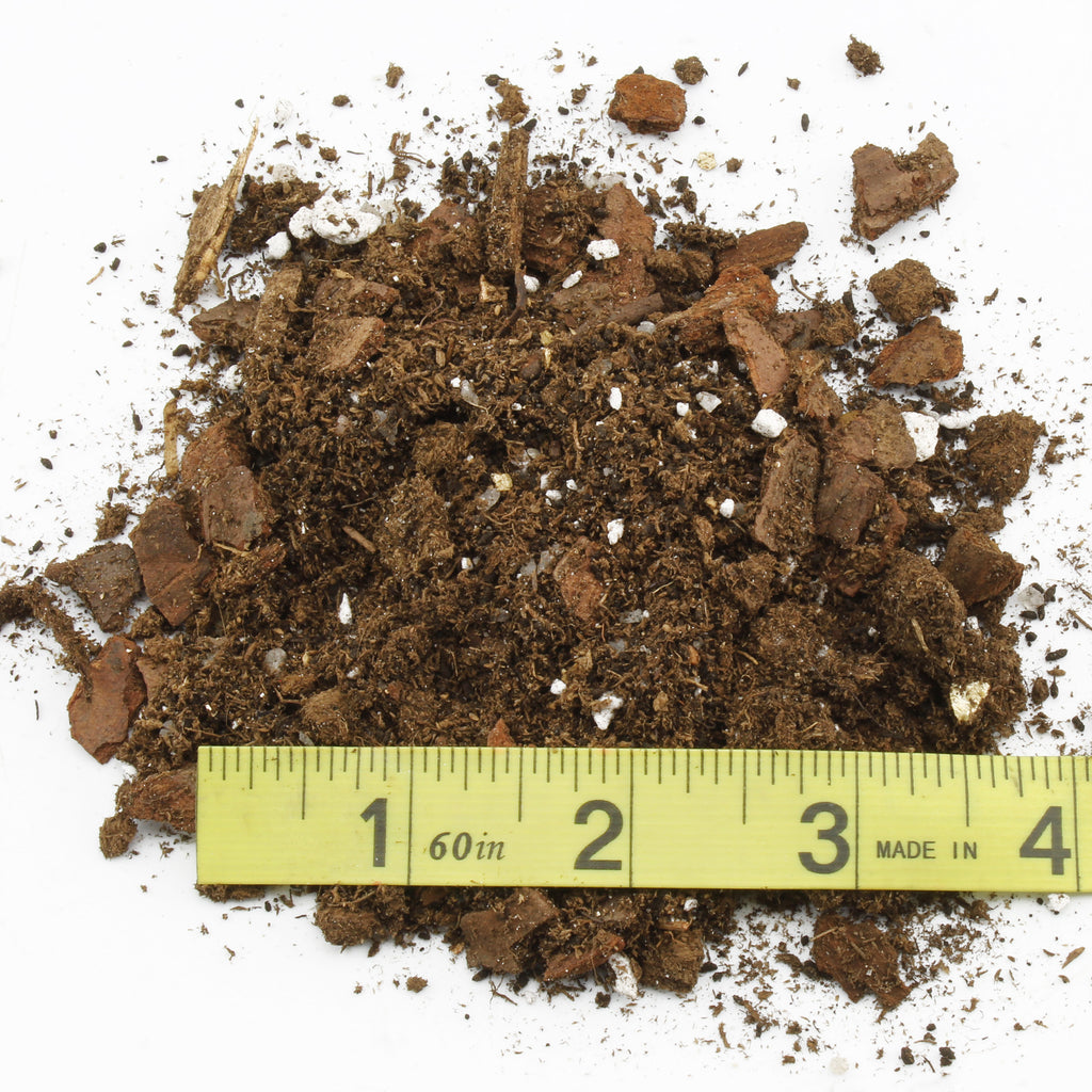 Umbrella Plant Potting Soil Mix (4 Quarts) - SSKIT177