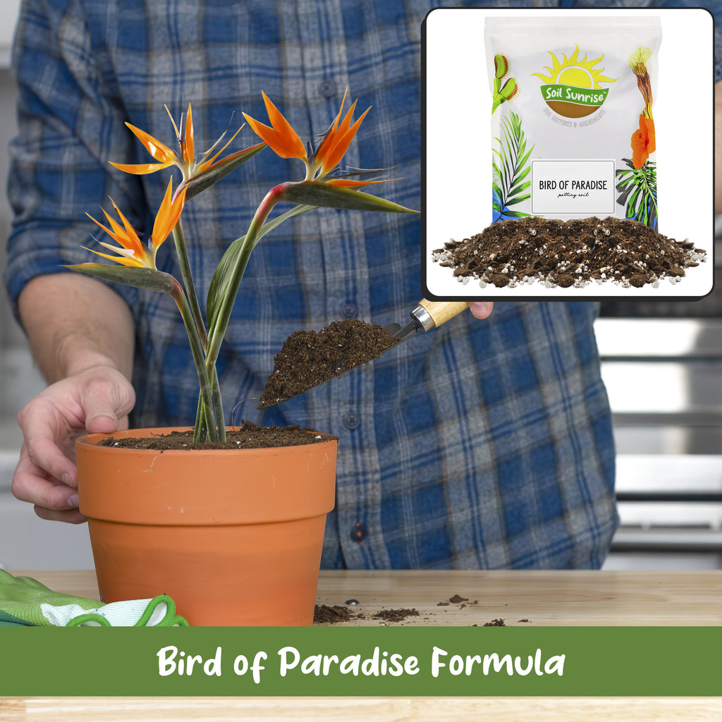 Bird of Paradise Potting Soil (Choose Size) - SSVarBirdPar