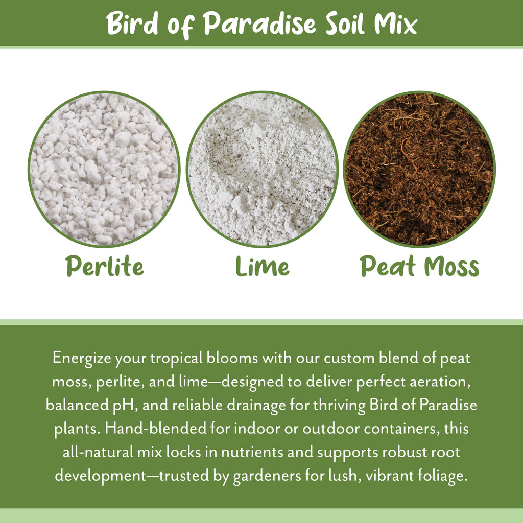 Bird of Paradise Potting Soil (Choose Size) - SSVarBirdPar