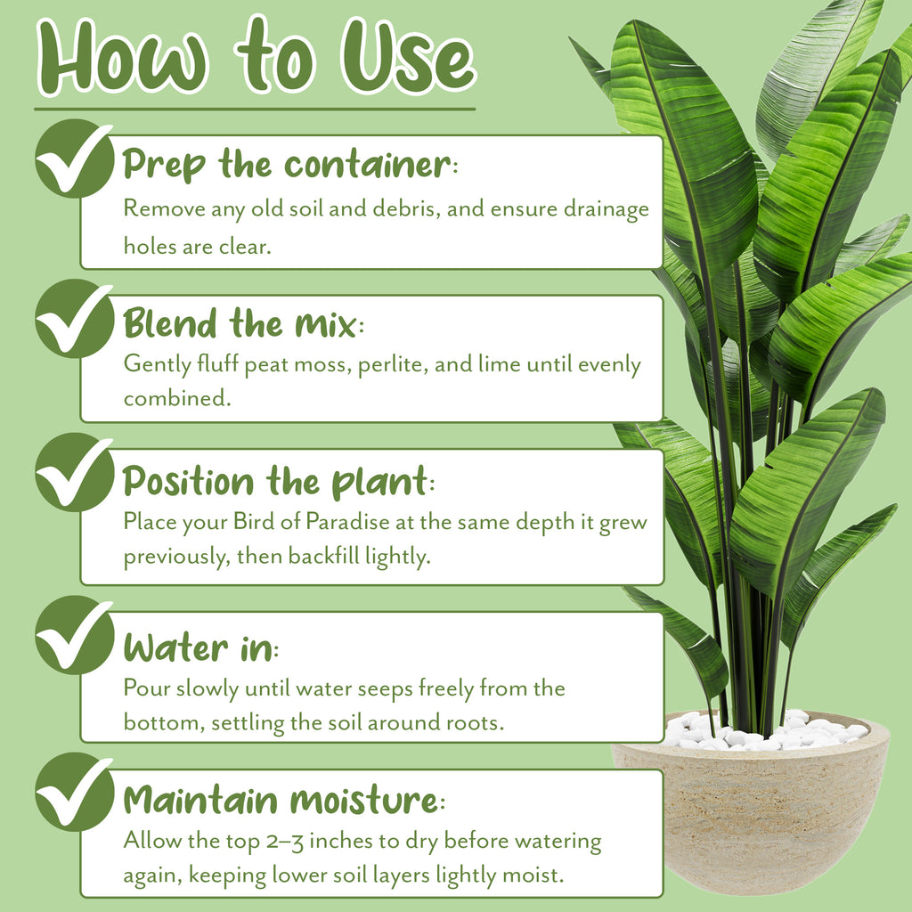 Bird of Paradise Potting Soil (Choose Size) - SSVarBirdPar