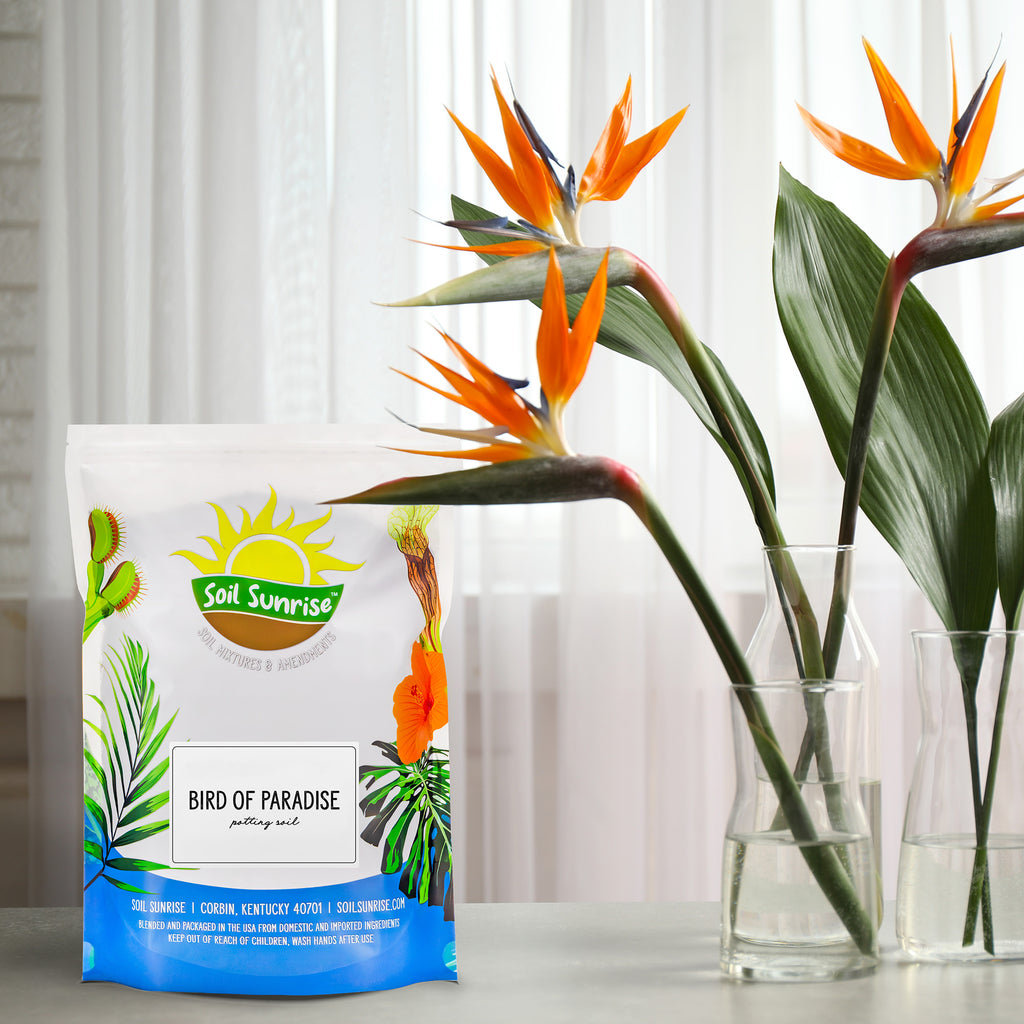 Bird of Paradise Potting Soil (Choose Size) - SSVarBirdPar